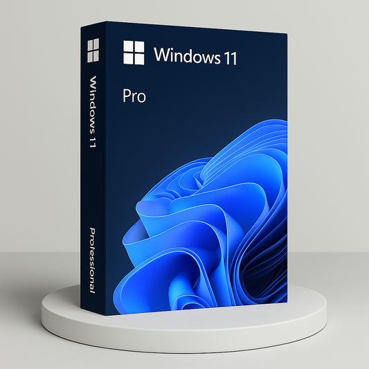 Windows 11 Pro  / Lifetime